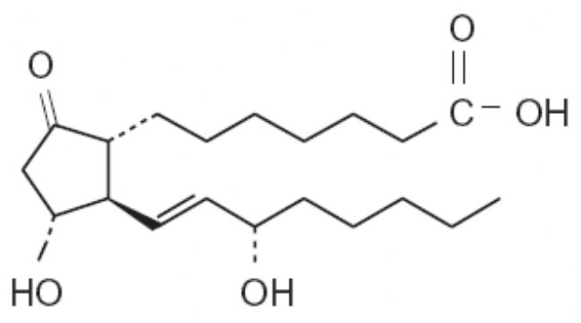  Alprostadil